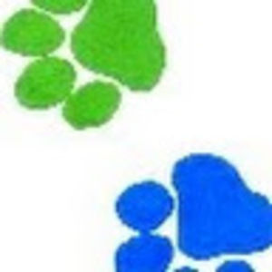 Meet your Posher, Masha